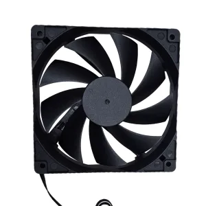 Fan Thường